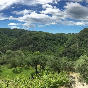 Caddelovi Italie